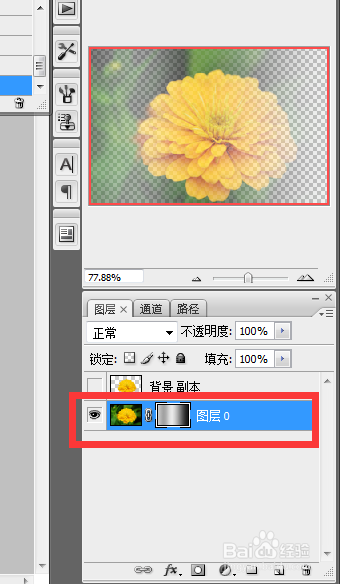 PS中的蒙版介绍