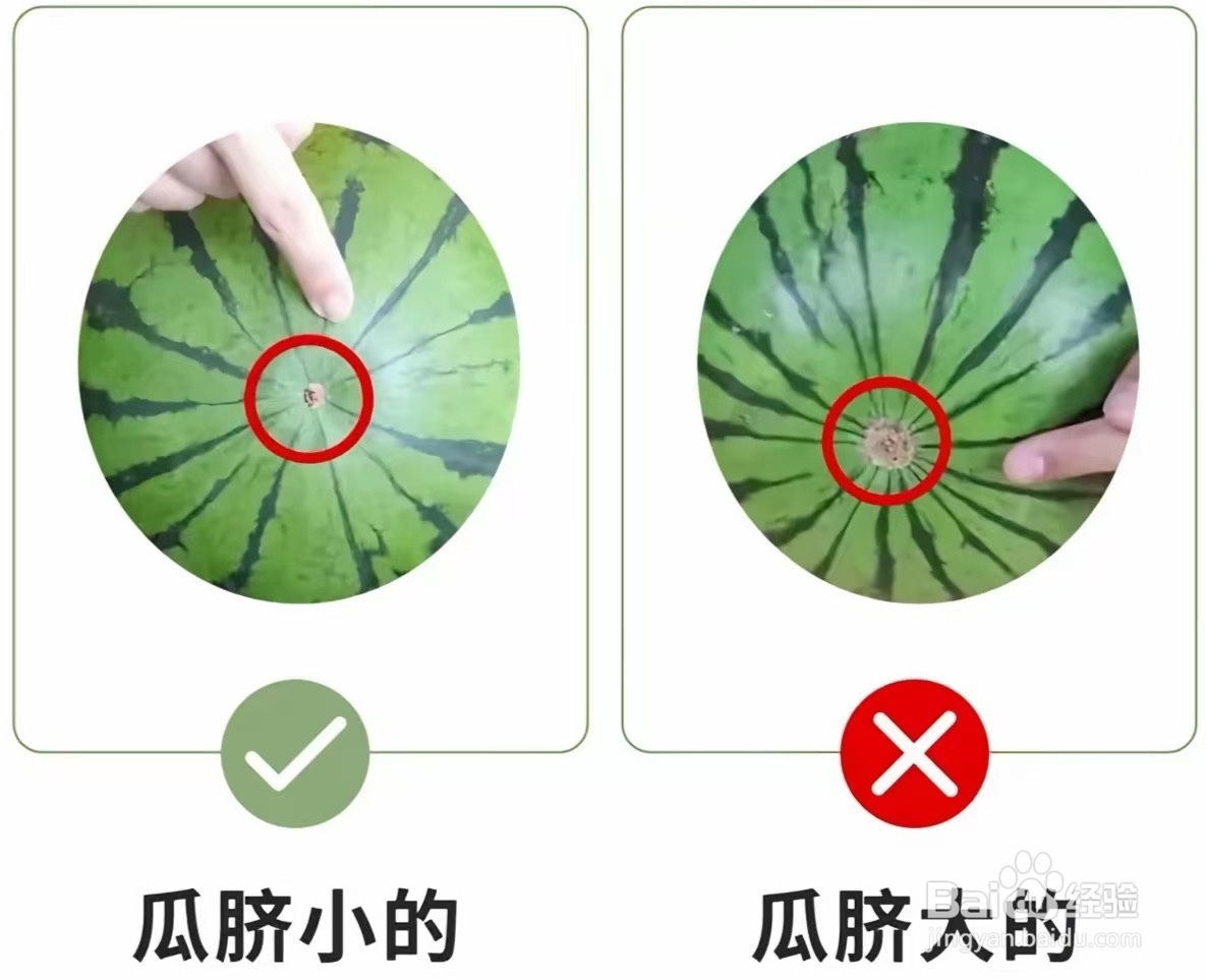 怎么选择又甜又沙的西瓜