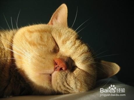 大学生怎样度过充实祥和的期末复习阶段