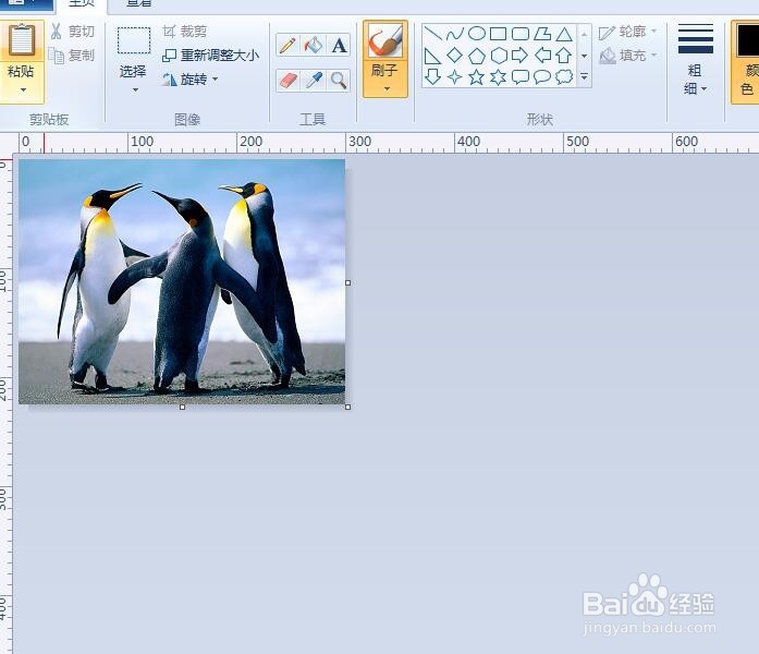 如何使用画图软件更改图片尺寸