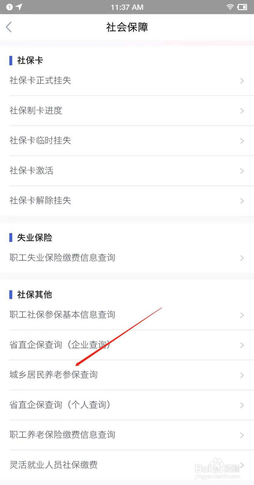 湖北省居民养老保险怎么查询
