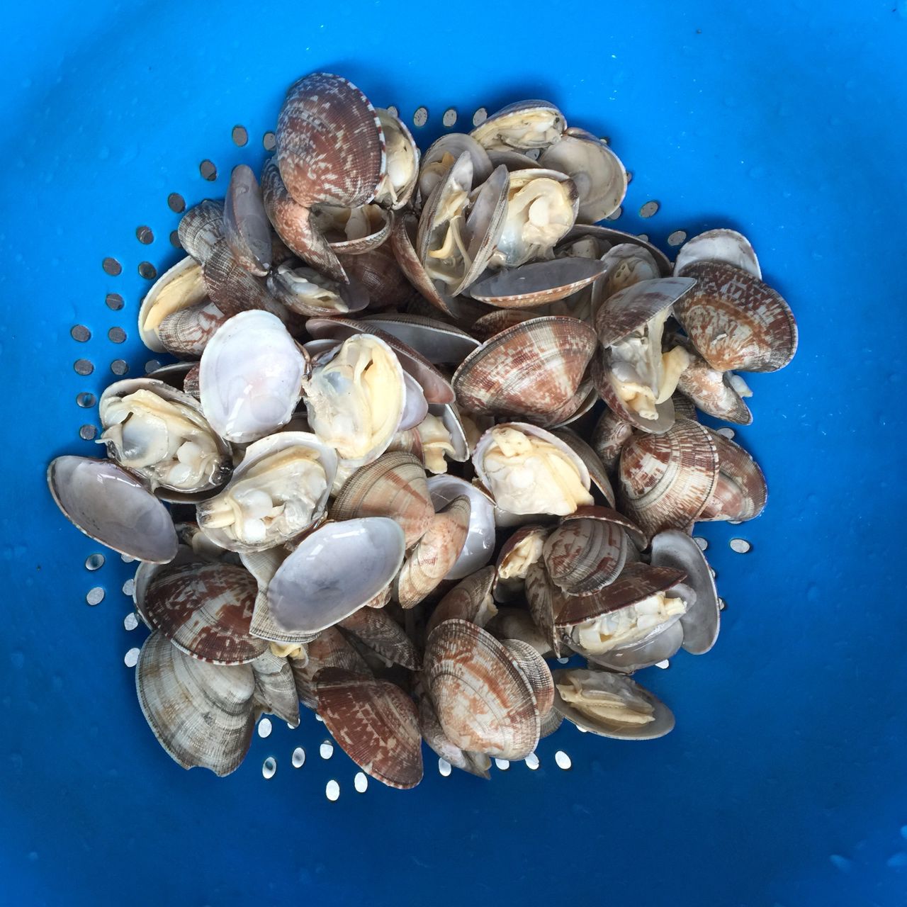 麻辣花蛤，美味的下饭神器！