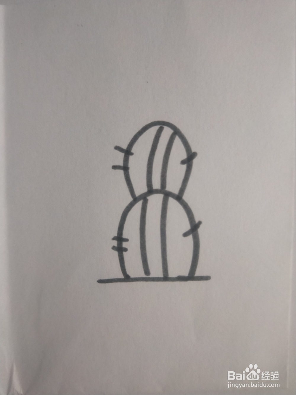 仙人掌的简笔画教程