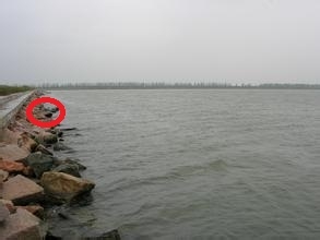 暑假到了，防溺水安全常识（一）