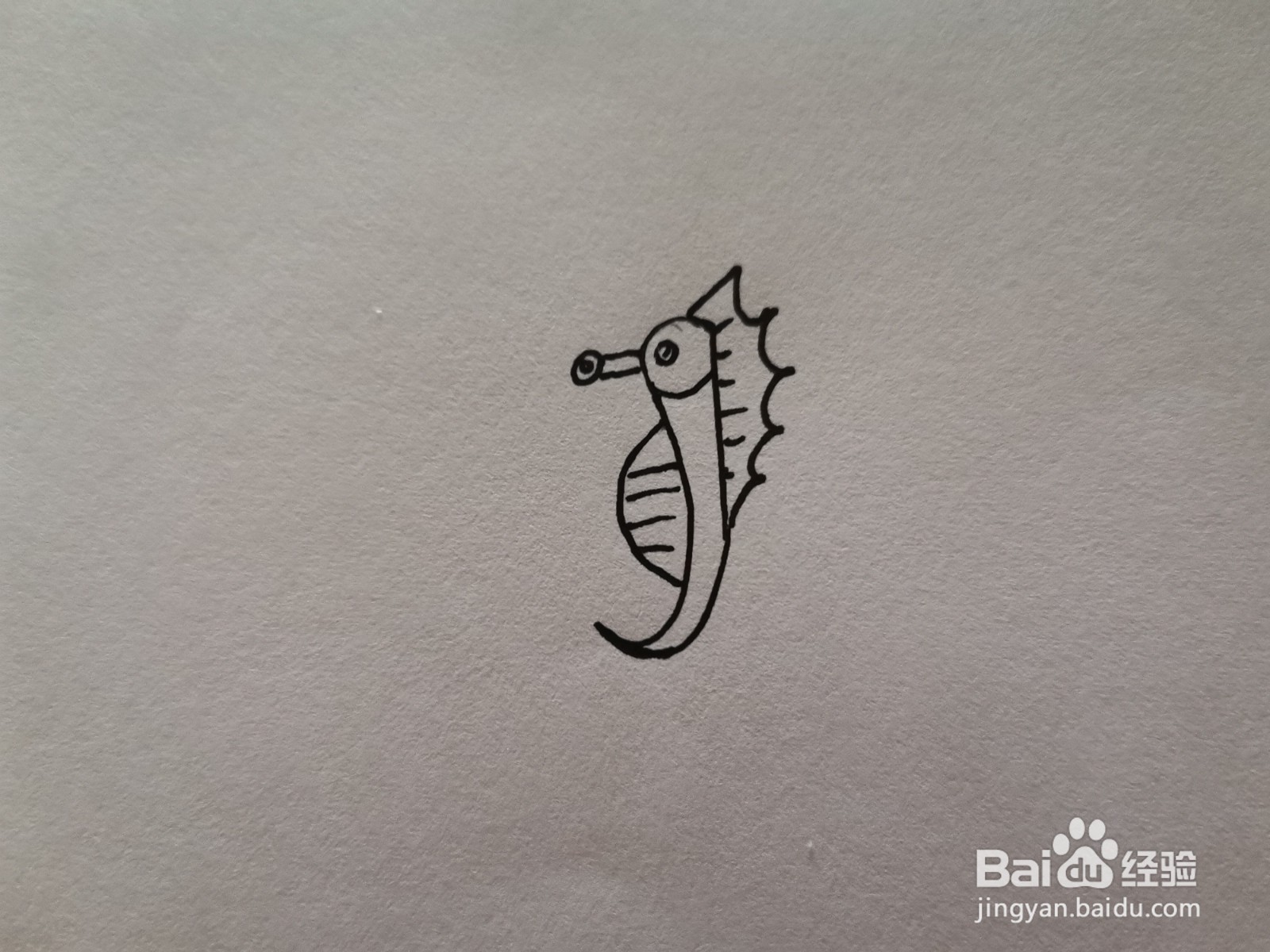 简笔画海洋动物：海马怎么画？