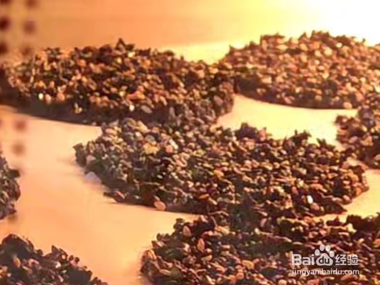 芝麻饼干的做法