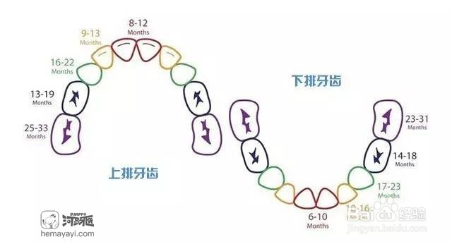 什么是窝沟封闭,为什么要做窝沟封闭?