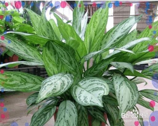 房子装修后，我们要注重室内装修的检测