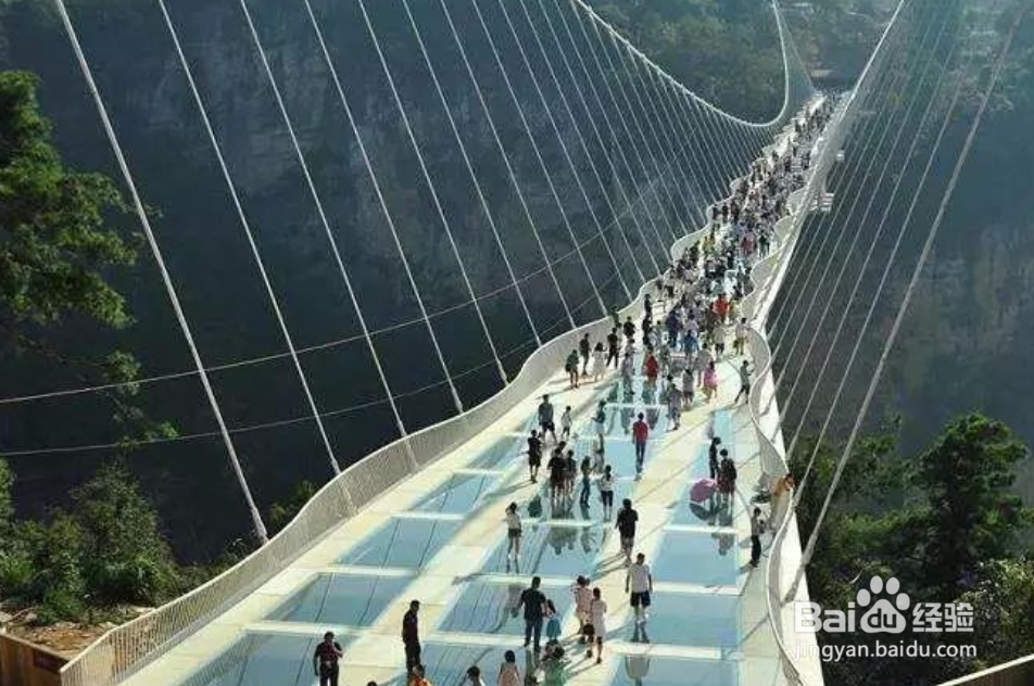 张家界旅游攻略2019