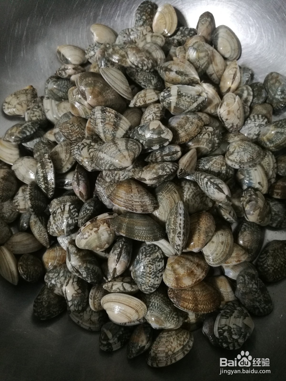 怎样做好吃美味的花蛤