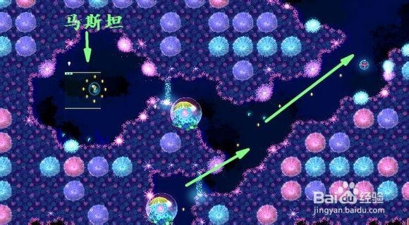 华丽荧光鱼攻略