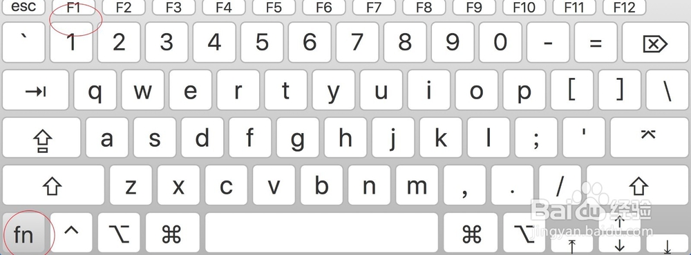 sniapaste怎么用 mac snipaste下载怎么用
