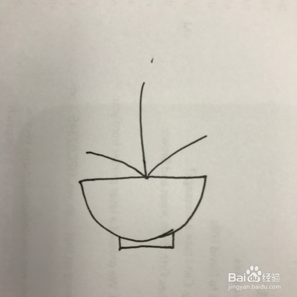 如何画好小清新蒲公英