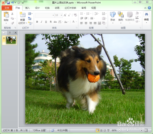如何在幻灯片的图片中添加文字