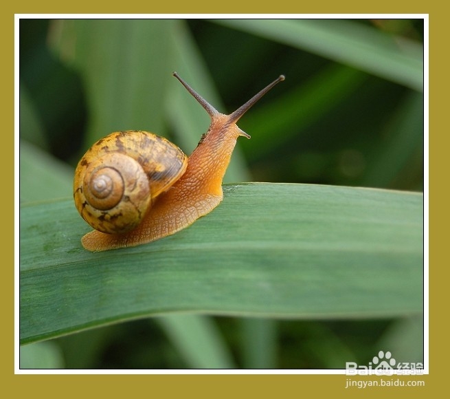 你需要知道的知识 也是冷知识哦
