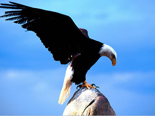 怎样培养孩子的抗挫能力？