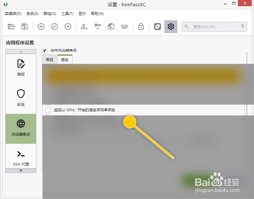KeePassXC如何返回以KPH开始的高级字符串字段