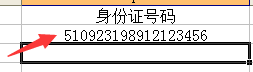 怎样在excel中快速的批量输入身份证号码