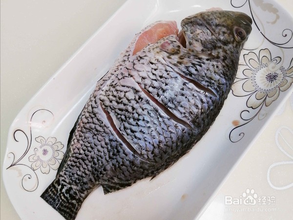 清蒸花斑鱼做法