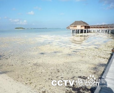 马尔代夫狄娃岛Diva Island Resort旅游线路攻略