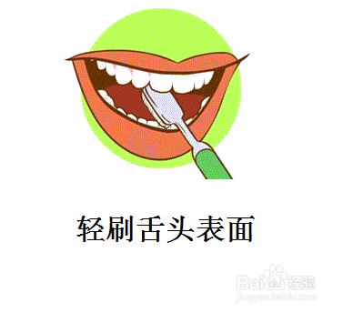 刷牙齿的正确方法