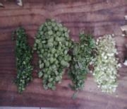 羊肉臊子面的做法