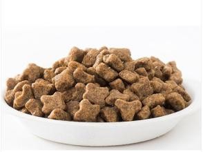 拉布拉多猎犬挑选狗粮的方法