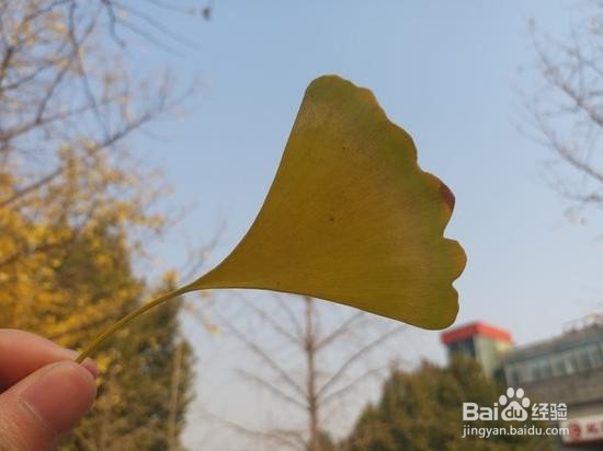 三星C9 Pro评测:国际品牌的接地气典范