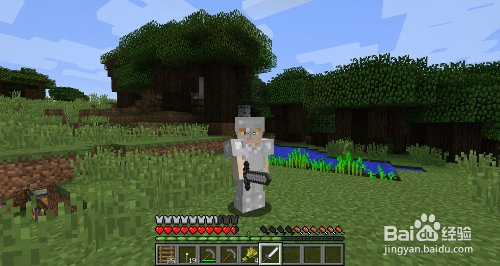 《我的世界生存手册》之怎么采矿