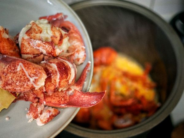 香浓芝士龙虾汤