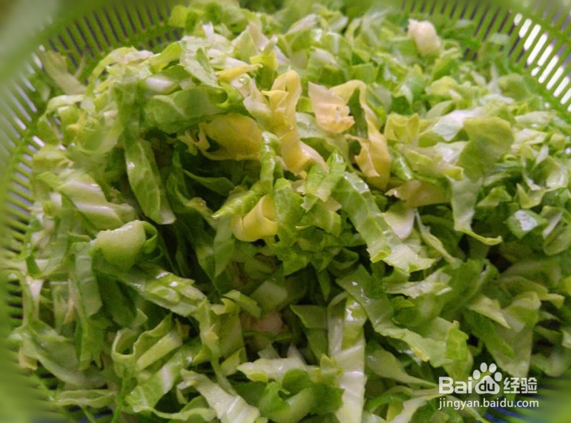 绿“肥”红“瘦”——卷心菜黄瓜“开会”