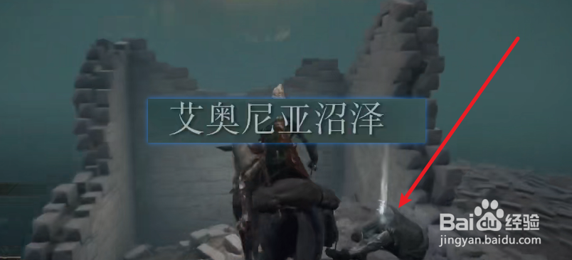 艾尔登法环腐败野狗的骨灰怎么获得