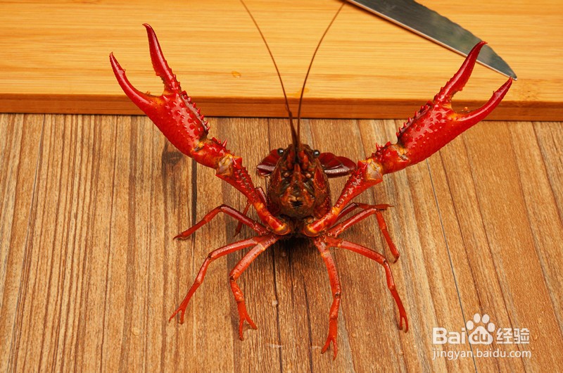 如何制作美味的麻辣小龙虾?