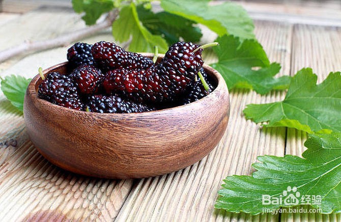 新鲜桑葚怎么卖