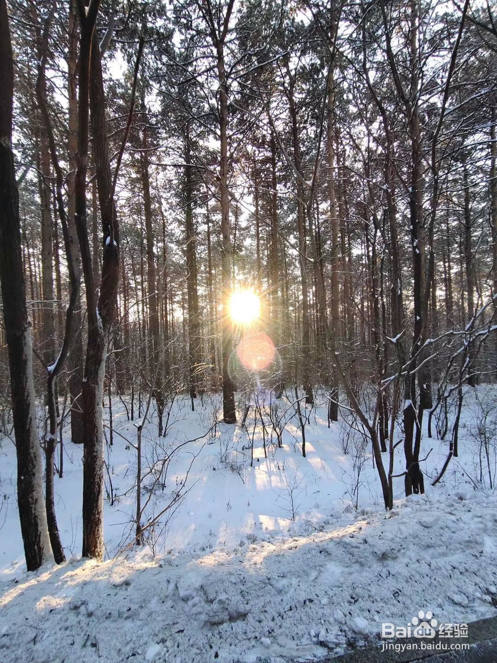 如何树立健康的人格