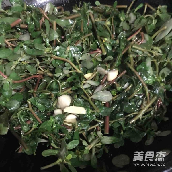 素炒马齿苋的做法