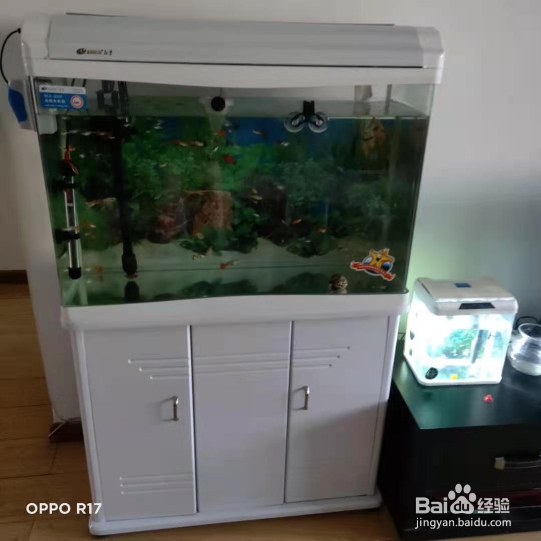 家里有暖气空气太干怎么办