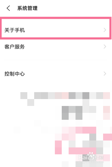 iqooneo5的开发者选项在哪里
