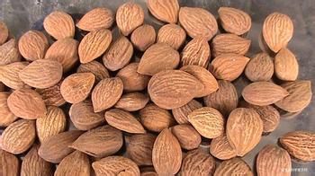 春季减肥最快最有效的方法