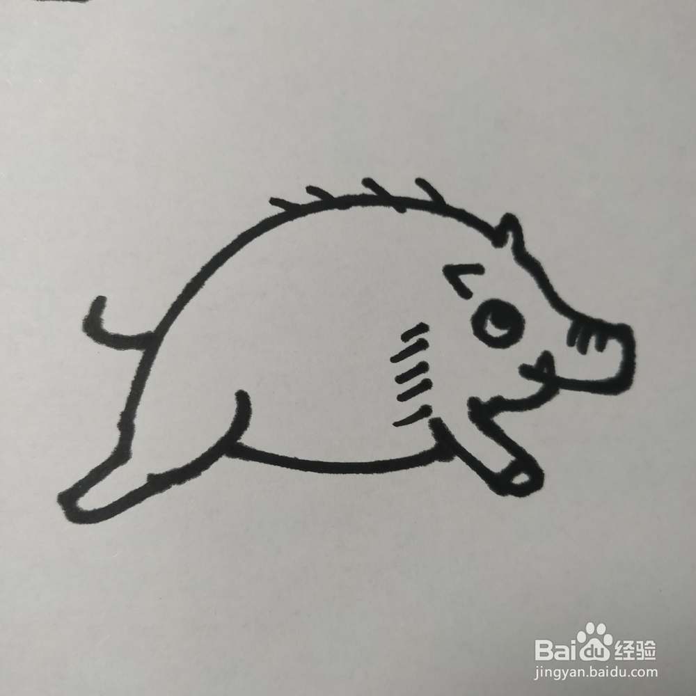 怎么画野猪的儿童画?野猪的儿童画怎么画呢?