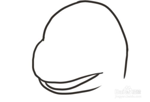 精灵宝可梦里帅气的小火龙怎么画