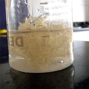 怎样清洗兔用滚珠饮水器