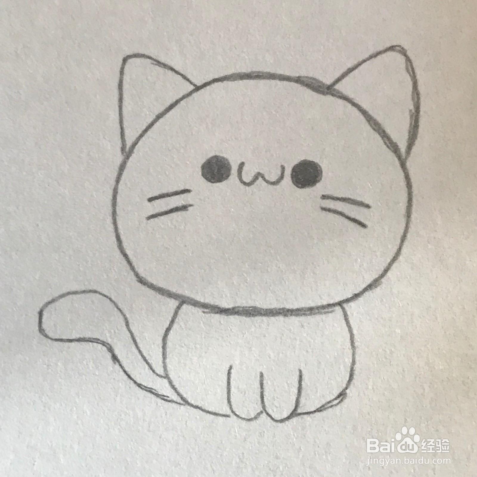 猫咪画画图片简单画法图片