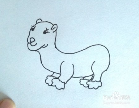 简笔画:怎么画水獭