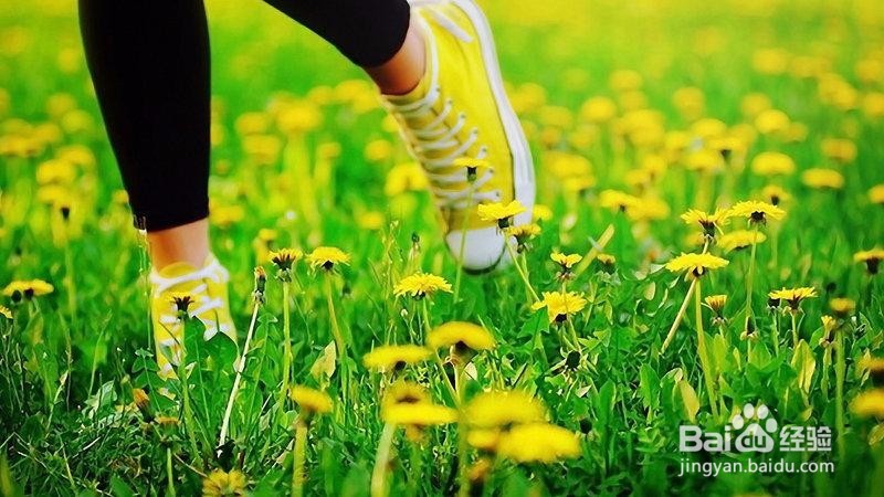 如何有意义的过完大学生活