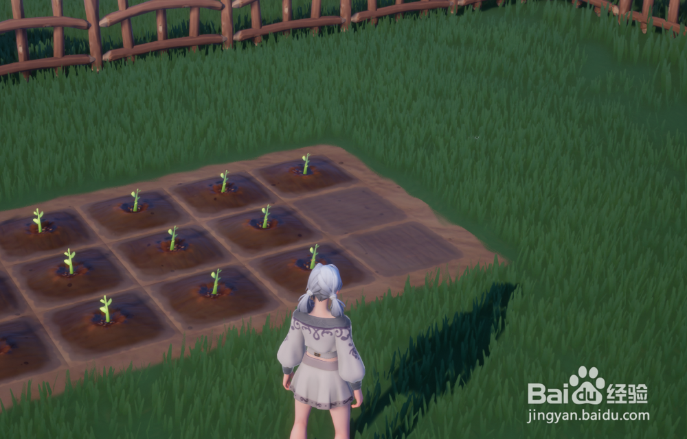 Palia帕里亚怎么种植植物种子