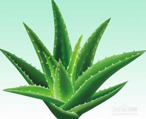 几个祛痘的小窍门,帮你还原无暇的美肌