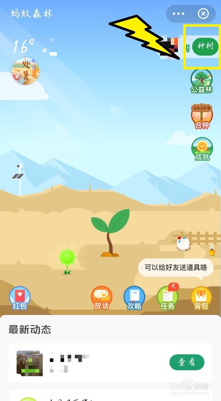 #新人打卡#蚂蚁森林如何申请种树