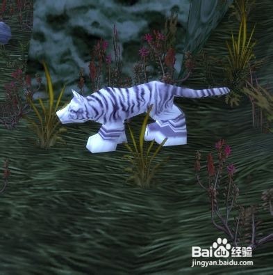 黑海岸的幽灵豹在哪里