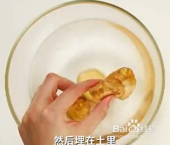 如何处理蔬菜保留种子